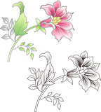 Pink and outlined flower, floral background