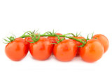 Bunch of Fresh Cocktail Tomatoes on White Background
