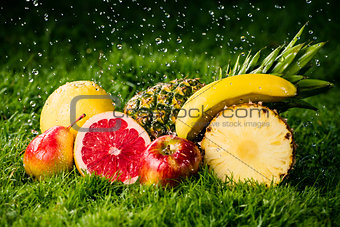 Fresh fruits in the rain.