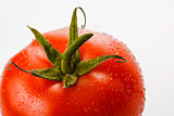 Fresh tomato with water droplets