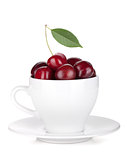 Ripe cherries in a coffee cup
