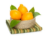 Orange lemons with leafs