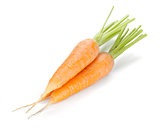 Fresh ripe carrots