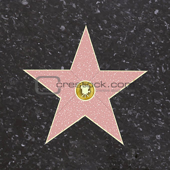 Walk Of Fame Star