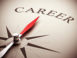Choice of Career Orientation