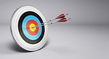 Arrows Hitting Target, Archery