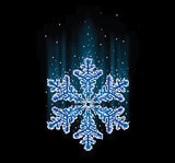 natural snowflake macro