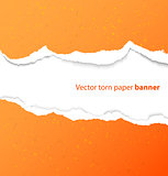Torn paper banner
