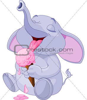 Elephant eating ice cream