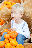 child at the pumpkin patch