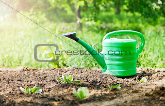 green watering can in garden on ground
