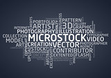 Microstock words