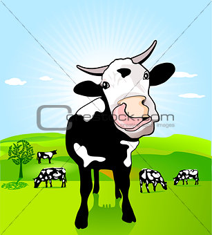 cow and field