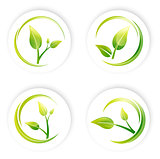 Green Sprout Leaf Design Set