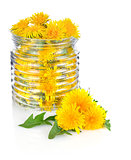 dandelion in glass jar with green leaves