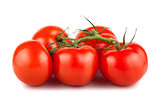 Ripe Red Tomatoes on Branch