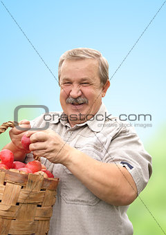 Harvesting a apple