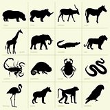 Africa animal icons