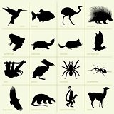 South America animal icons