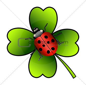 Vector ladybug on clover