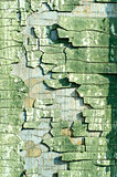 cracked old green paint texture closeup