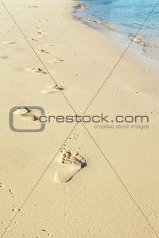 Trail on beach