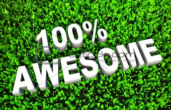100% Awesome