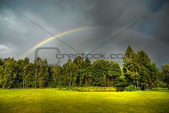 Rainbow above green trees
