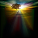 abstract background with sunrise tree and stars