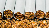 Arranged in a row cigarettes