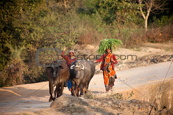 Indian women with pets on road