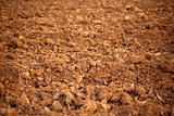 Close up Soil