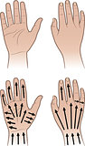 Woman, man hands with massaging lines