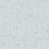 White Cracked Wall. Seamless Texture.
