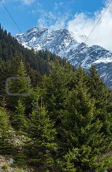 Silvretta Alps summer view, Austria 