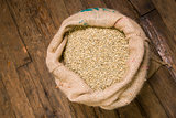 Coffee Beans in Burlap Sack Seeds at Roaster