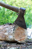 Ax in a log on the background of green grass
