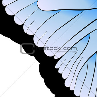 vector abstraction. Part of butterfly wing