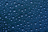 Rain water drops