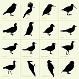Bird icons