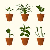 Plant in flowerpot icons