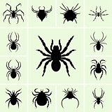 Spider icons