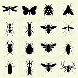 Insect icons