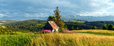 Summer mountain country panorama.