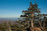 Appalachian Mountains from Mount Mitchell, the highest point in 