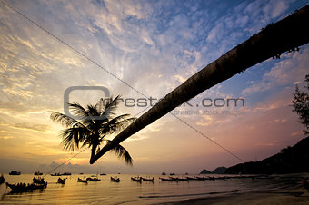 Sunset with palm and boats on tropical beach