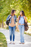 Young Adult Mixed Race Twin Sisters Walking Together