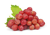 grapes with leaves