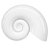 White spiral shell