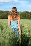 Back view of a woman walking across an oat meadow